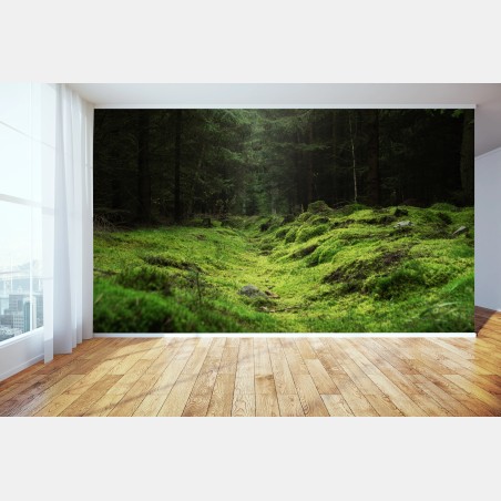 Fototapete moosiger waldpfad – Wallnifity®