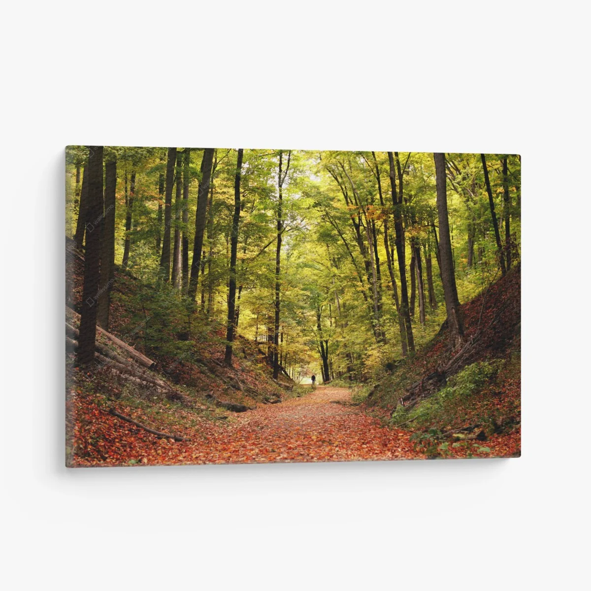 Leinwandbild herbstlicher waldweg unter grünem blätterdach – Wallnifity® Leinwandbild herbstlicher waldweg unter grünem blätterdach – Wallnifity®
