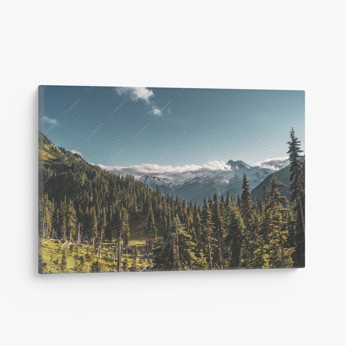 Leinwandbild majestätische alpine waldlandschaft – Wallnifity®