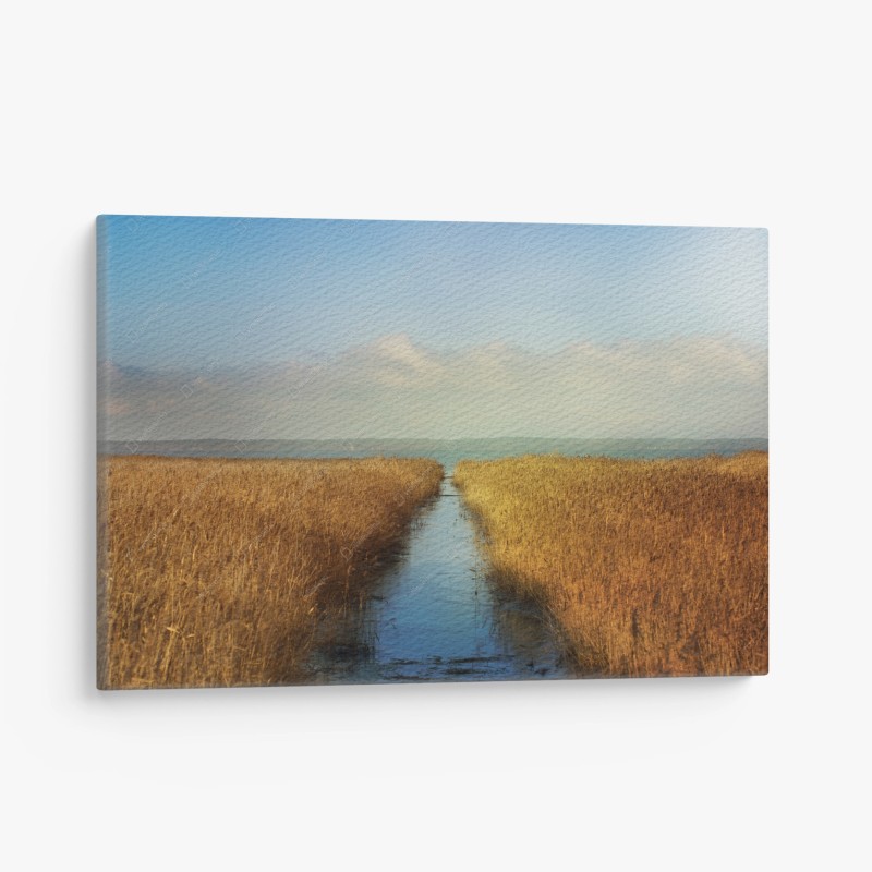 Leinwandbild goldenes schilf und ruhiger wasserweg