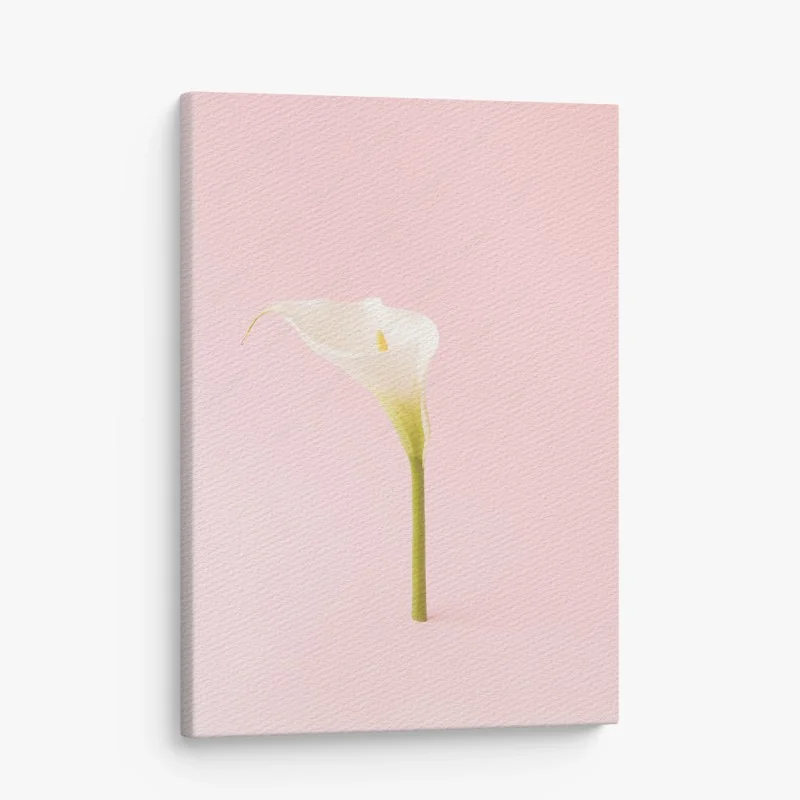 Minimalistisch – Wallnifity®