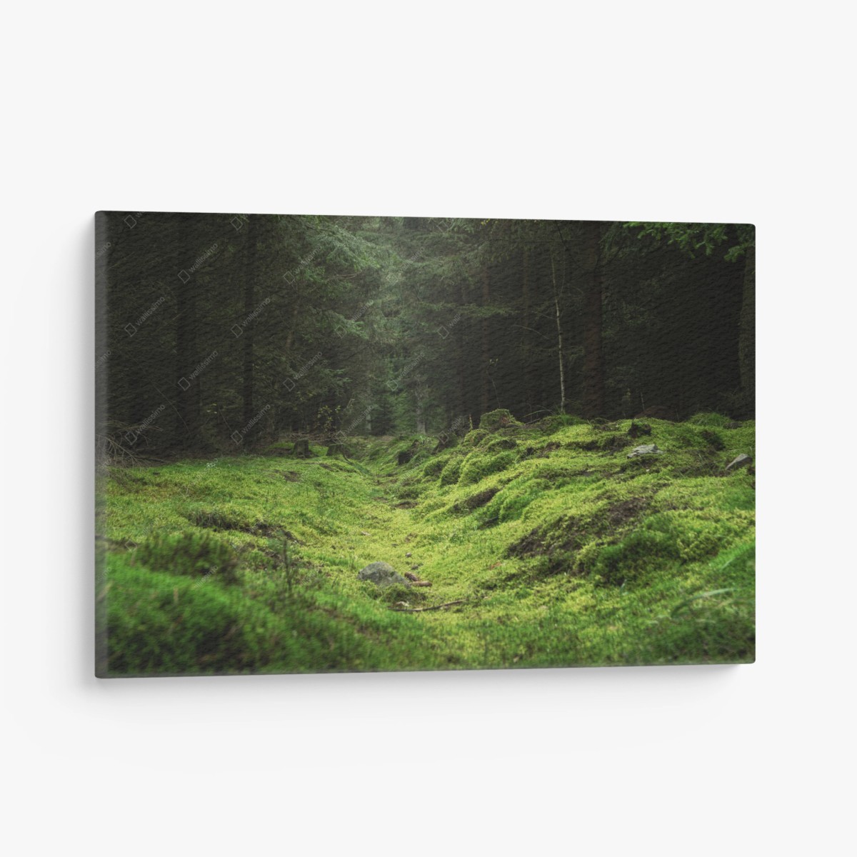 Leinwandbild moosiger waldpfad – Wallnifity® Leinwandbild moosiger waldpfad – Wallnifity®