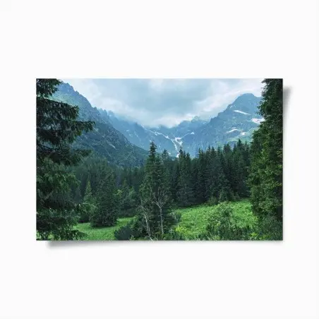Poster ruhige berglandschaft mit wald – Wallnifity®
