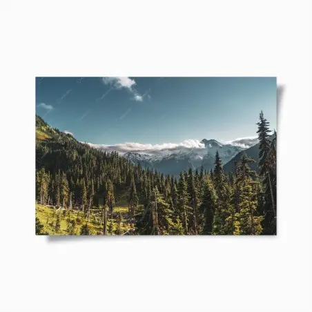 Poster majestätische alpine waldlandschaft – Wallnifity®