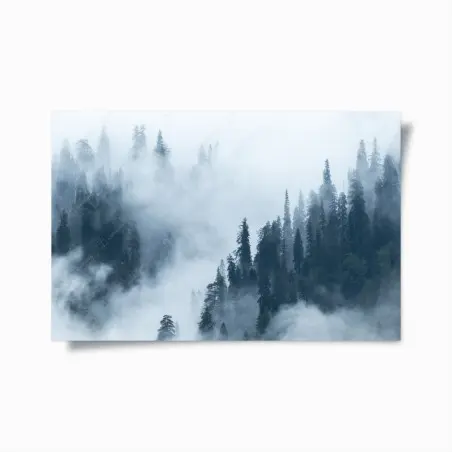 Poster nebliger kiefernwald – Wallnifity®