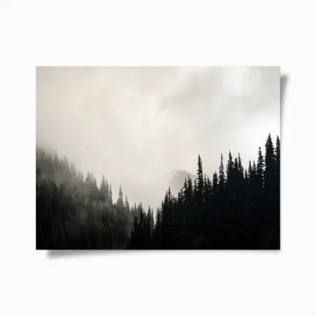 Poster nebliger nadelwald – Wallnifity®