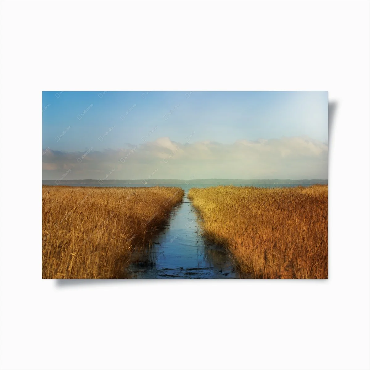 Poster goldenes schilf und ruhiger wasserweg – Wallnifity® Poster goldenes schilf und ruhiger wasserweg – Wallnifity®