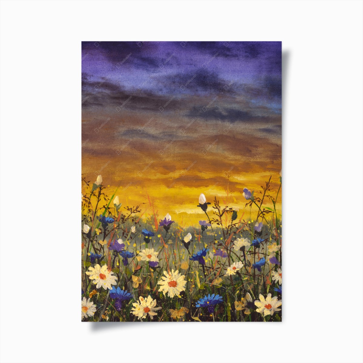 Poster sonnenuntergang auf einer wildblumenwiese mit gänseblümchen und kornblumen – Wallnifity®