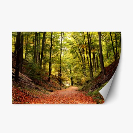 Repositionierbarer Aufkleber herbstlicher waldweg unter grünem blätterdach – Wallnifity®