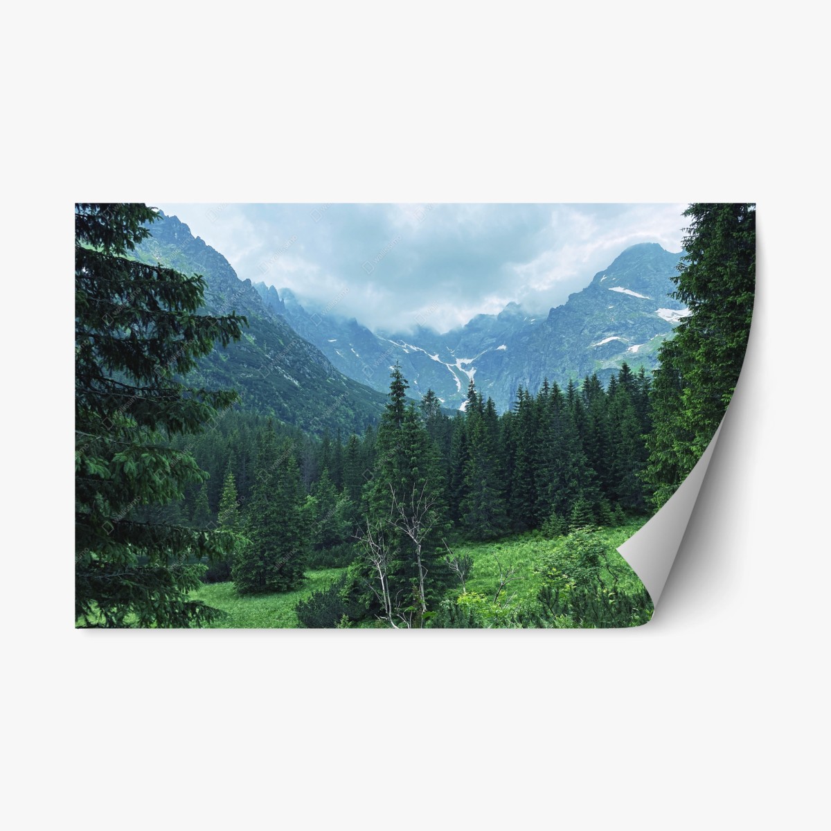 Repositionierbarer Aufkleber ruhige berglandschaft mit wald – Wallnifity®