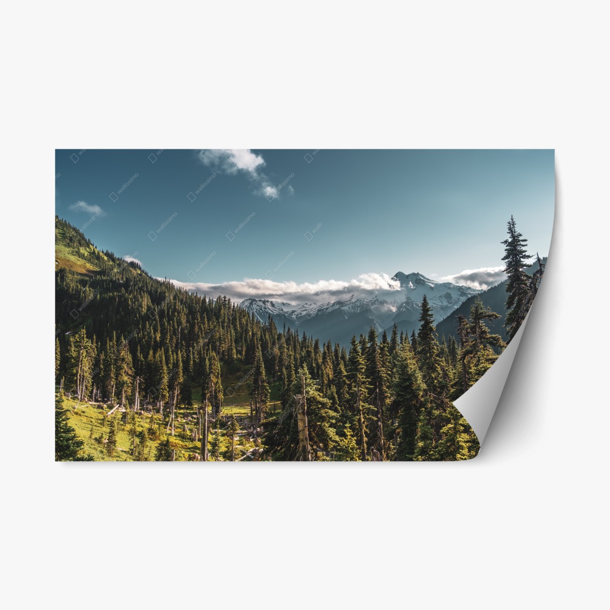 Repositionierbarer Aufkleber majestätische alpine waldlandschaft – Wallnifity®