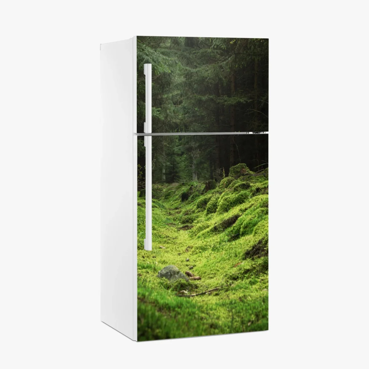 Kühlschrankaufkleber moosiger waldpfad – Wallnifity® Kühlschrankaufkleber moosiger waldpfad – Wallnifity®