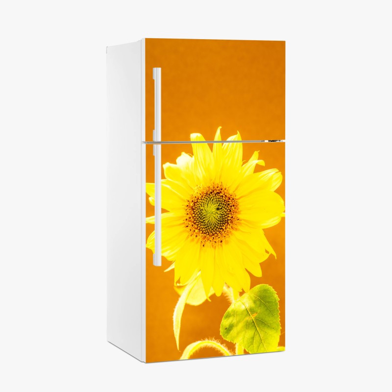 Blumen & Pflanzen – Wallnifity®