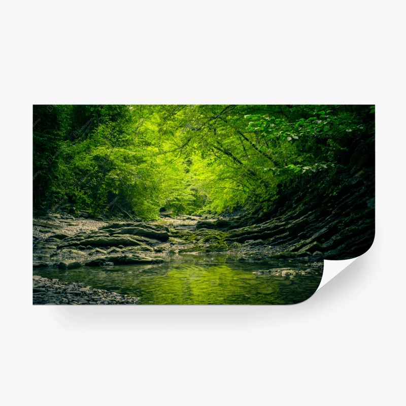 Natur – Wallnifity®