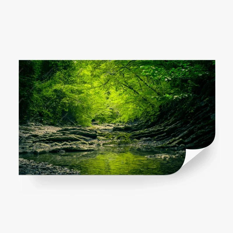 Flüsse & Seen – Wallnifity®