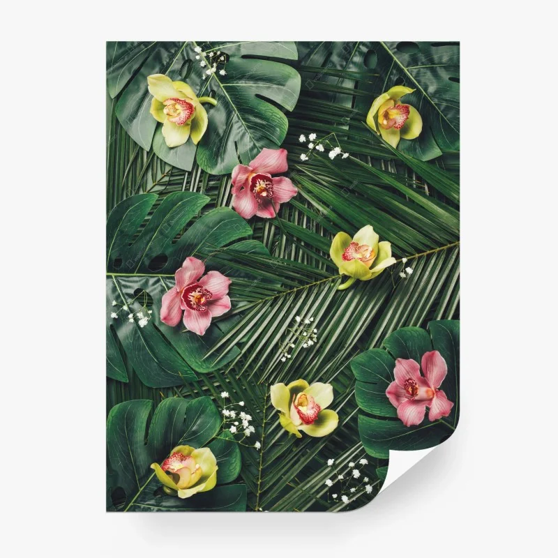 Dschungel – Wallnifity®