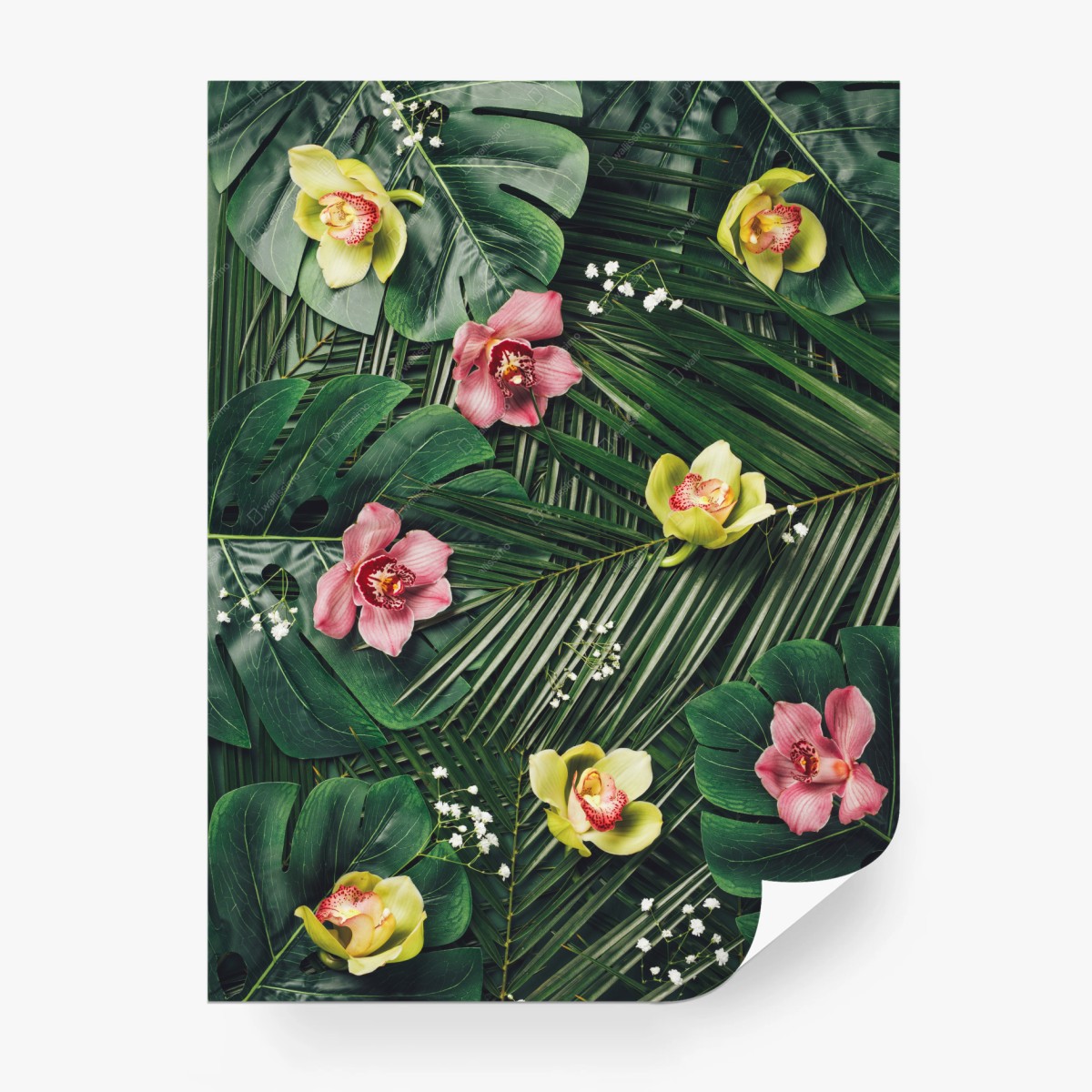 Fototapete tropisches orchideen- und monstera-motiv – Wallnifity®