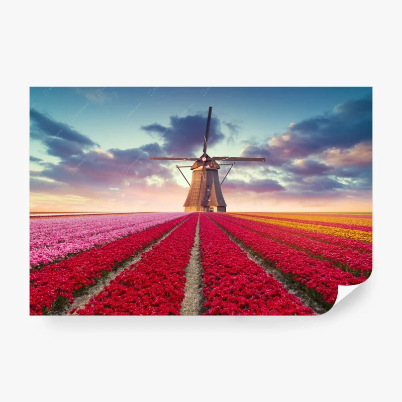 Natur – Wallnifity®