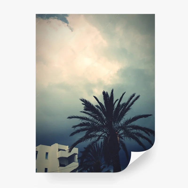 Boho – Wallnifity®