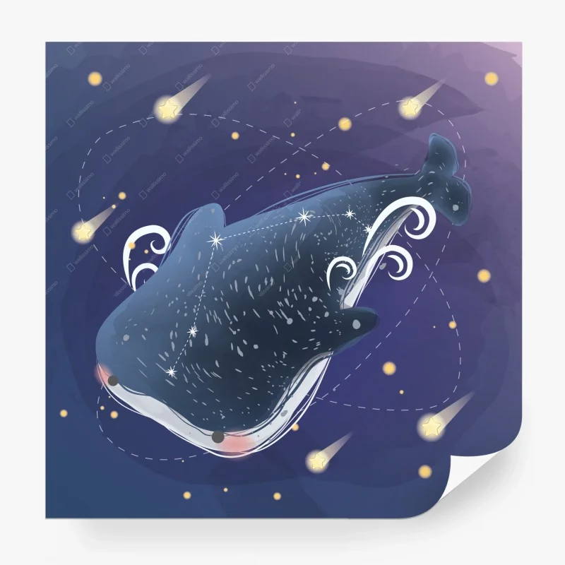 Meerestiere – Wallnifity®