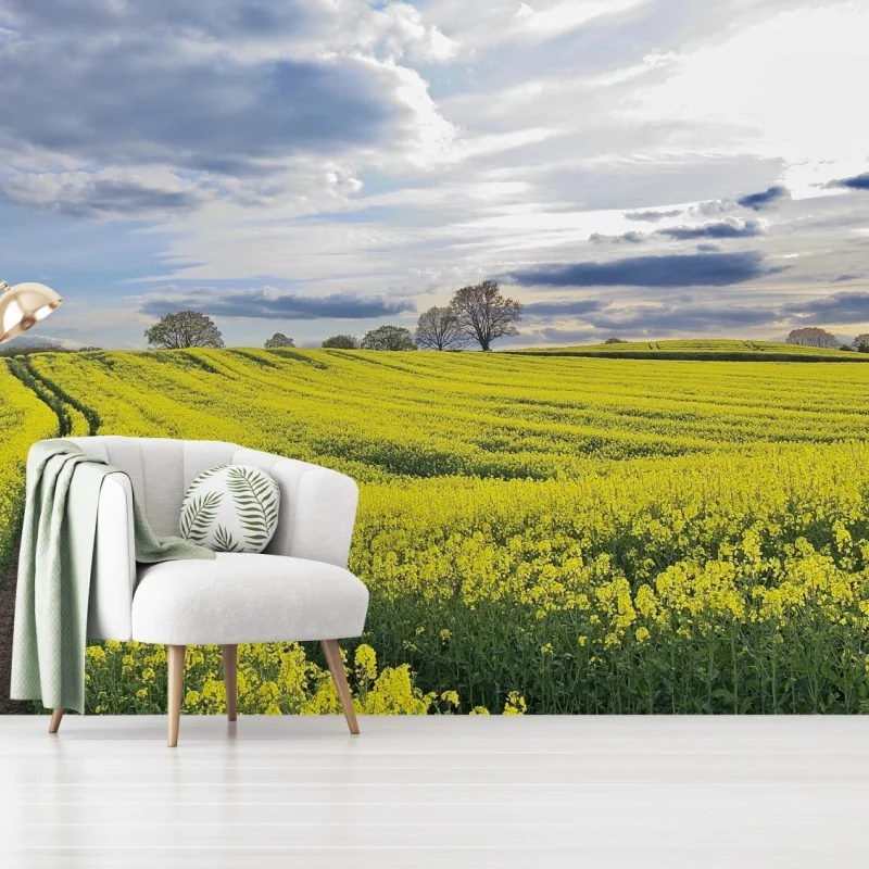 Fototapete goldenes rapsfeld unter dramatischem himmel – Wallnifity®
