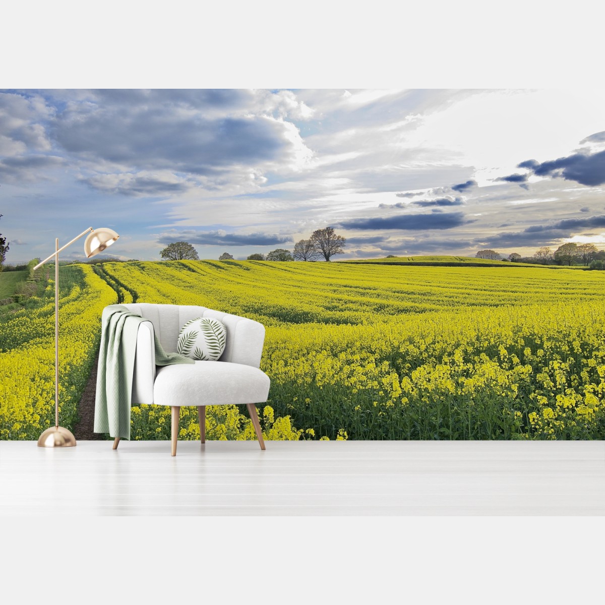 Fototapete goldenes rapsfeld unter dramatischem himmel – Wallnifity®