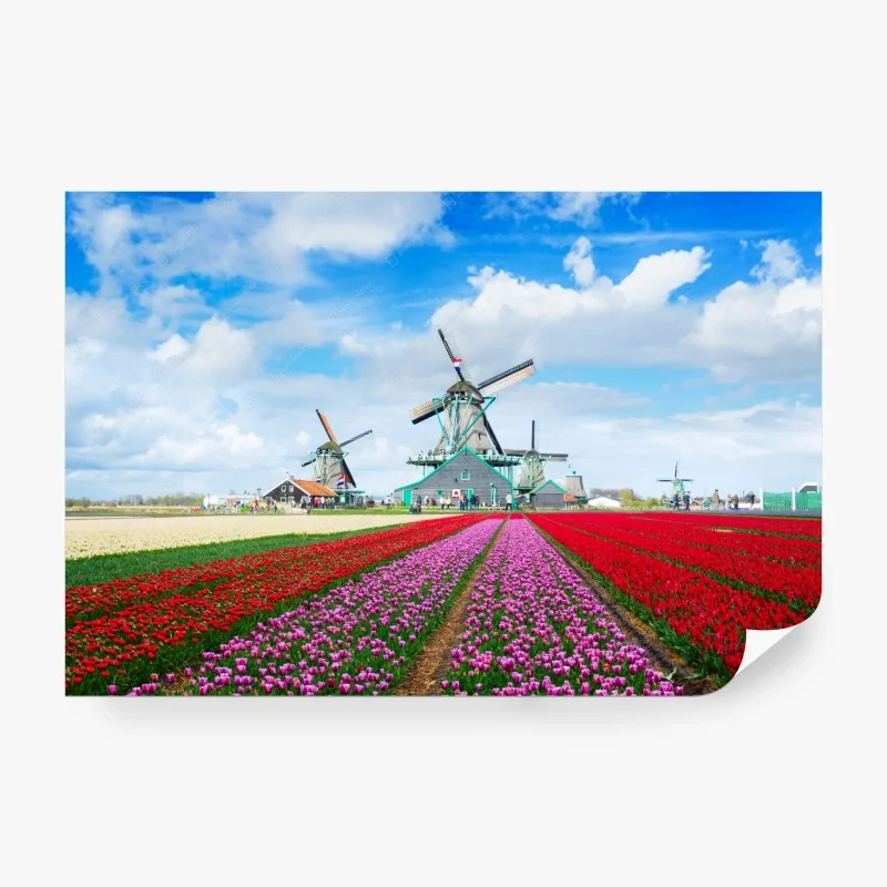 Blumen – Wallnifity®