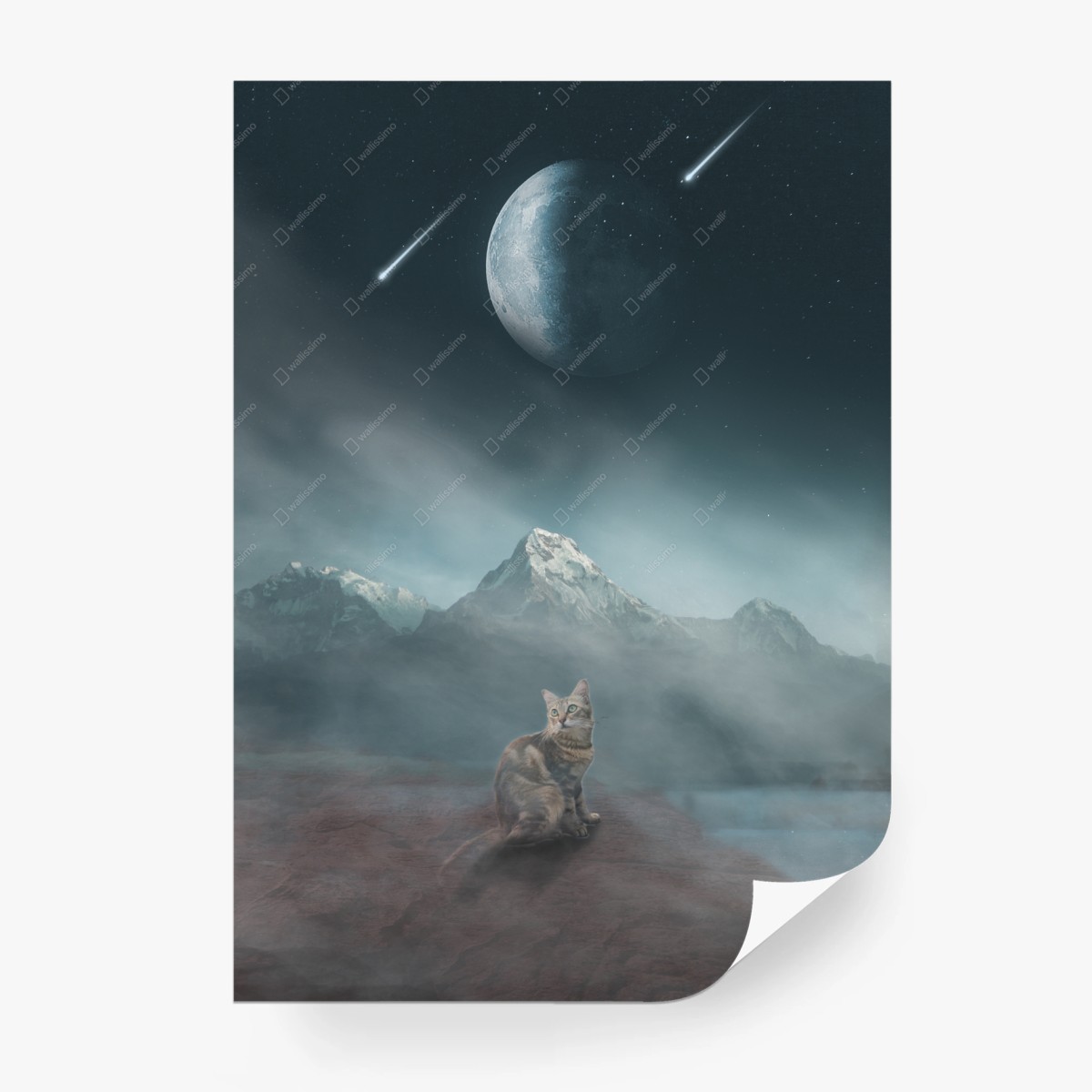 Fototapete mystische mondkatze über nebligen bergen – Wallnifity® Fototapete mystische mondkatze über nebligen bergen – Wallnifity®