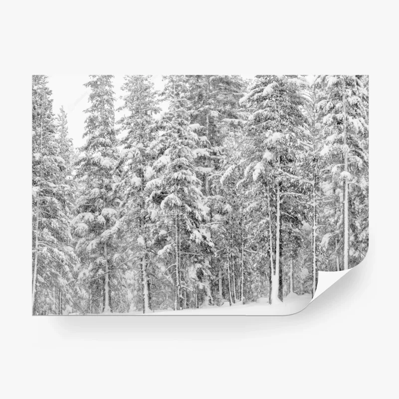 Natur – Wallnifity®