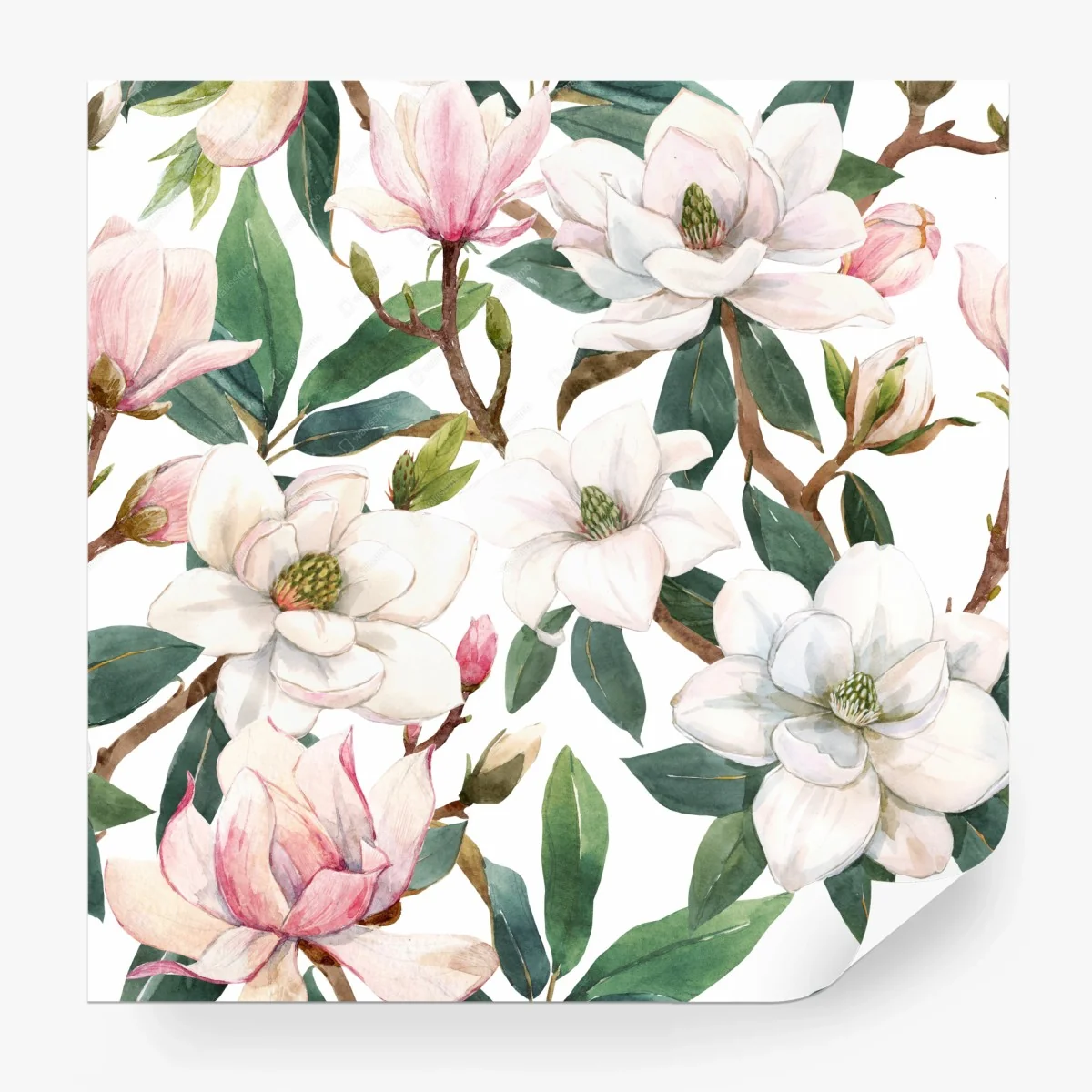 Fototapete zarte magnolie aquarell botanisches muster – Wallnifity®