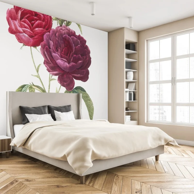 Fototapete botanische illustration purpurrose – Wallnifity®