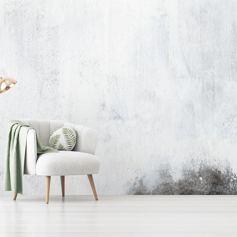 Abstrakt – Wallnifity®