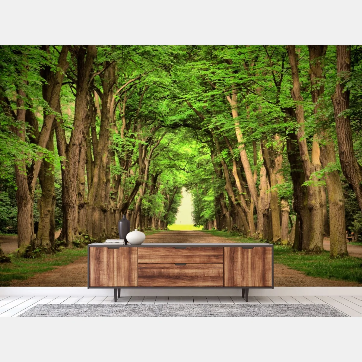 Fototapete sonnige baumallee im wald – Wallnifity® Fototapete sonnige baumallee im wald – Wallnifity®