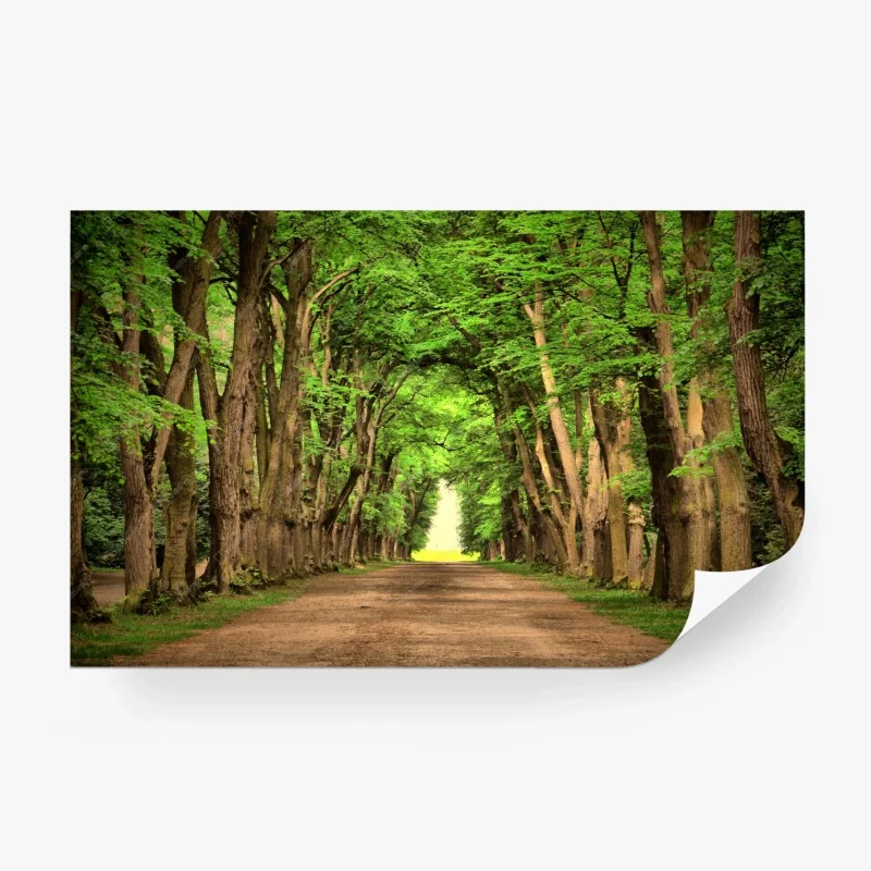 Wälder – Wallnifity®