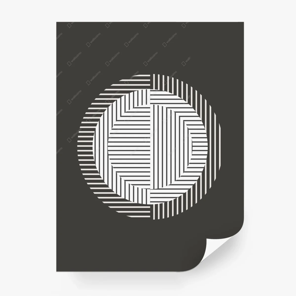 Fototapete monochromer geometrischer kreis – Wallnifity®