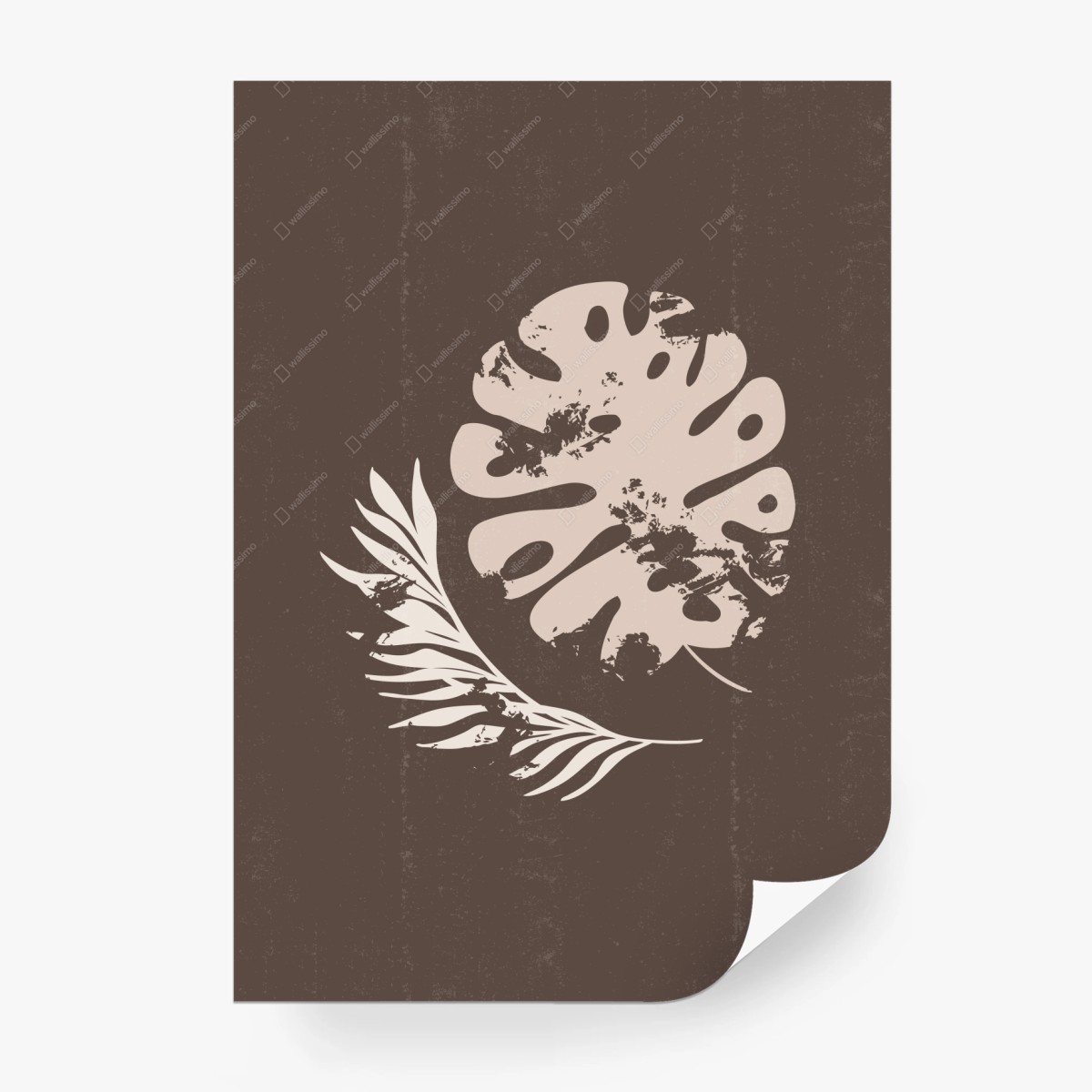 Fototapete monstera und farn boho botanische grafik – Wallnifity®