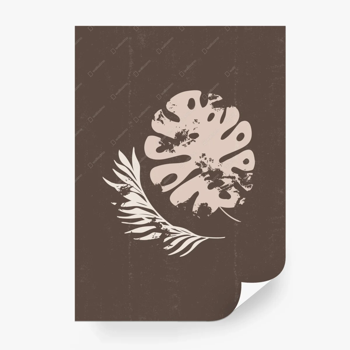 Fototapete monstera und farn boho botanische grafik – Wallnifity®