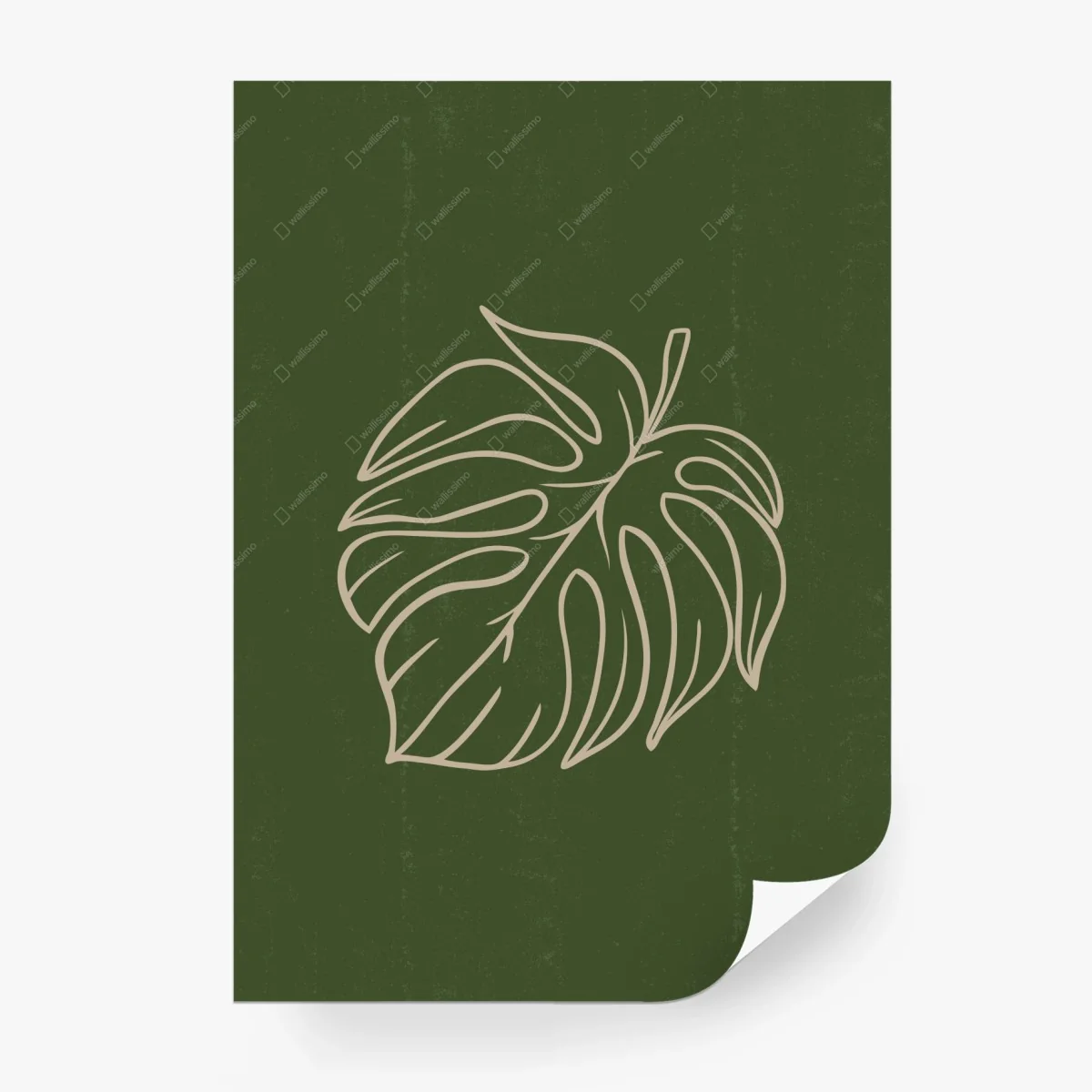 Fototapete minimalistische monstera-blatt botanische grafik – Wallnifity®