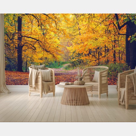 Fototapete goldener herbstweg im wald – Wallnifity®