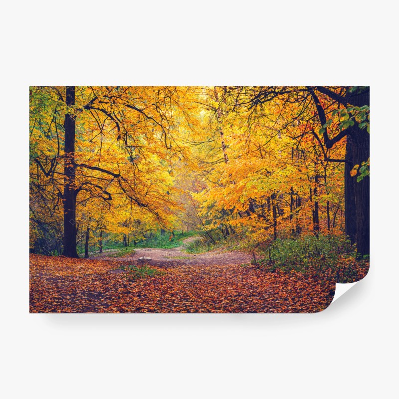 Natur – Wallnifity®