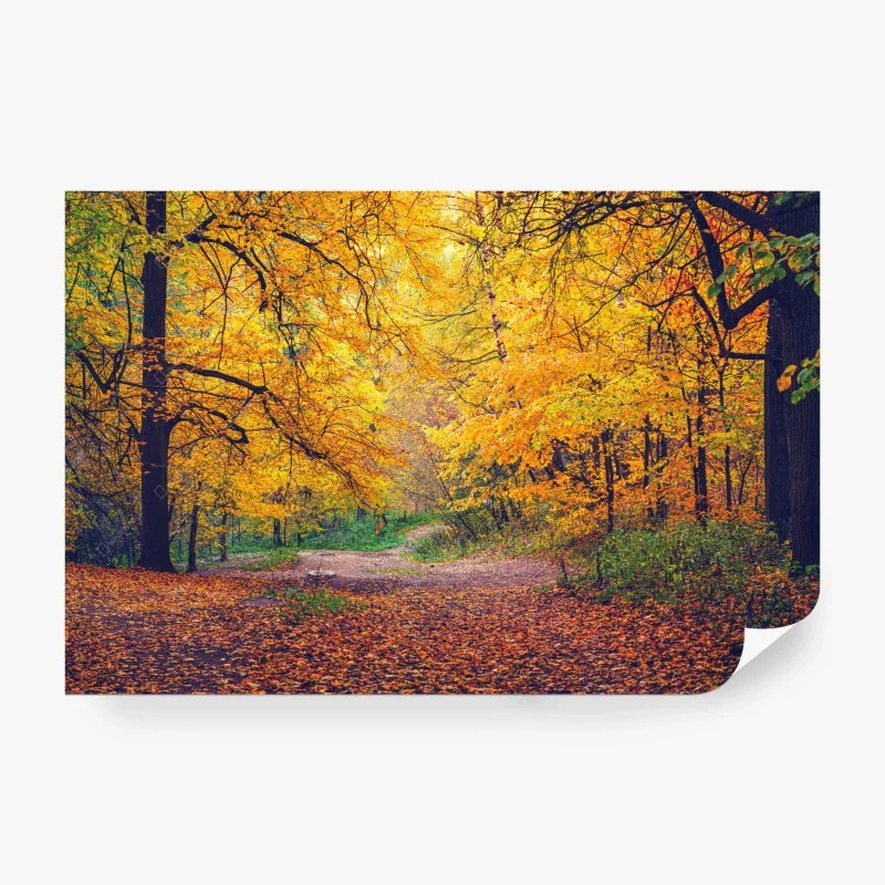 Wälder – Wallnifity®