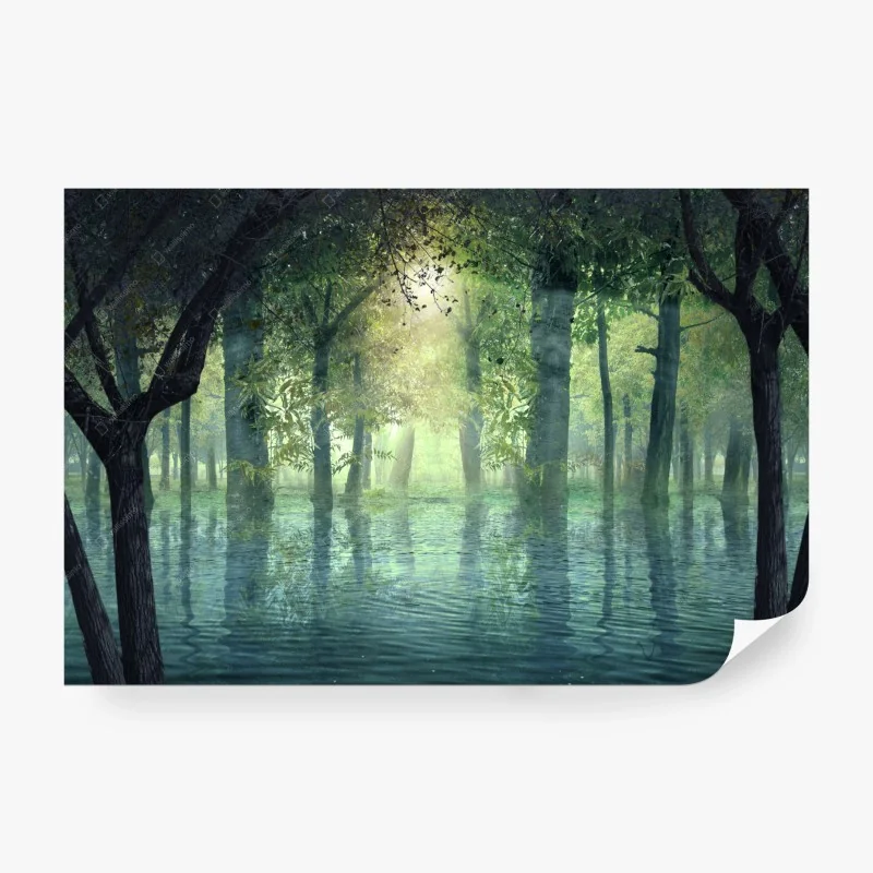 Wälder – Wallnifity®