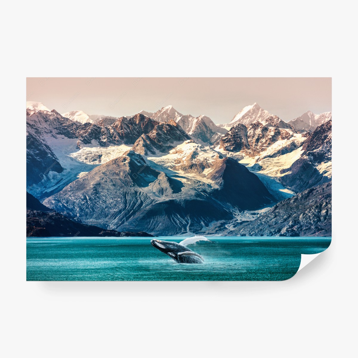 Fototapete majestätischer wal vor alpinen gletschern – Wallnifity® Fototapete majestätischer wal vor alpinen gletschern – Wallnifity®