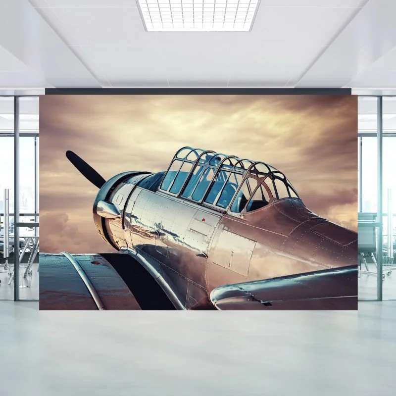 Flugzeuge – Wallnifity®