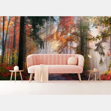 Fototapete magischer herbstwald im sonnenlicht – Wallnifity®
