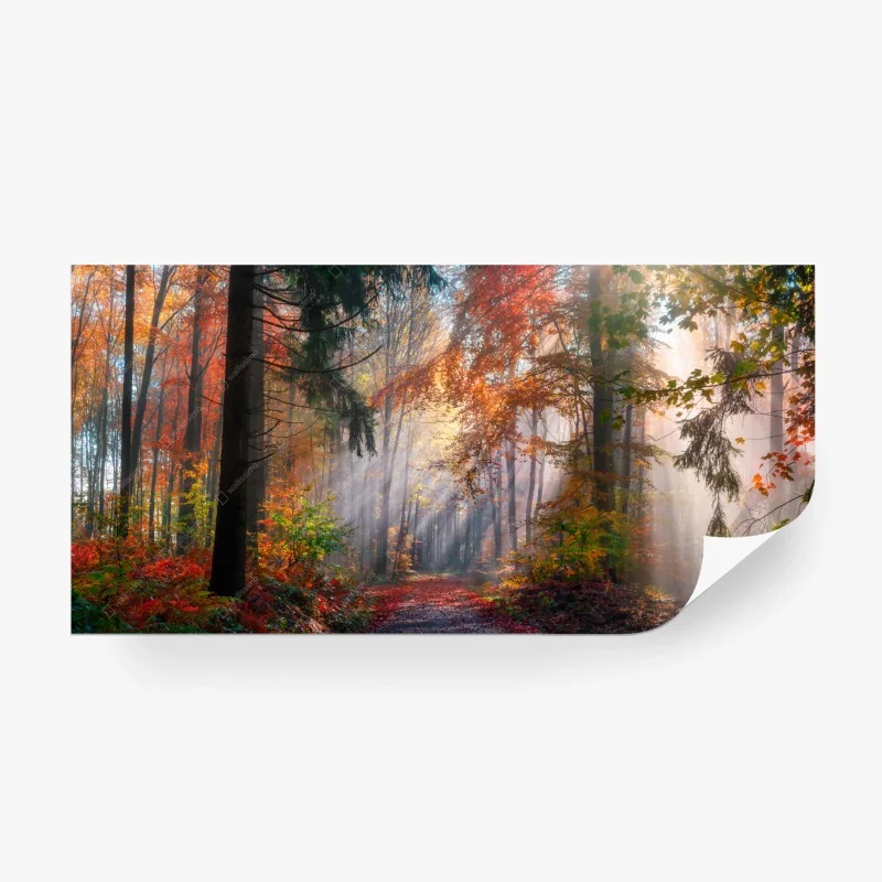 Natur – Wallnifity®