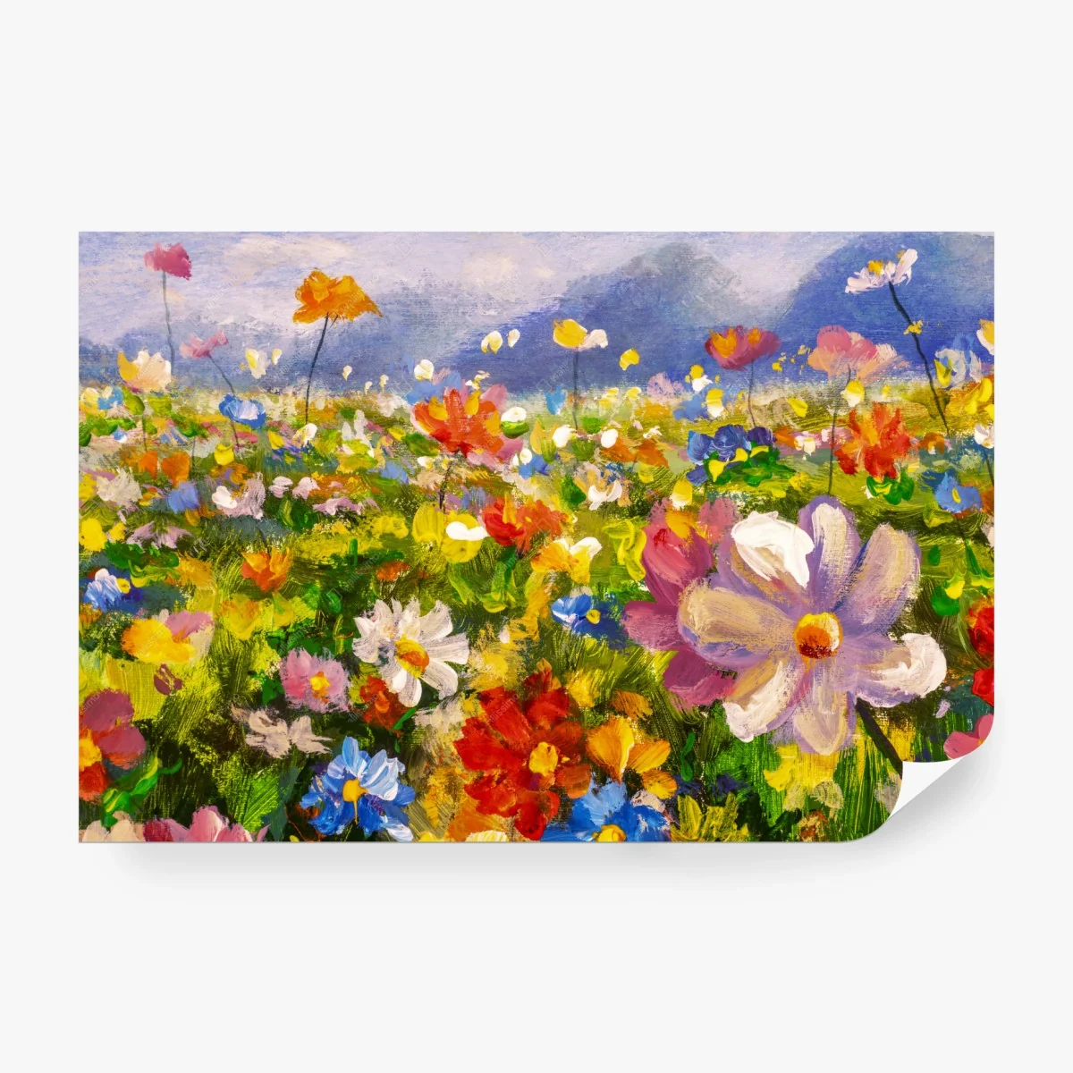 Fototapete lebhafte wildblumenwiese – Wallnifity®