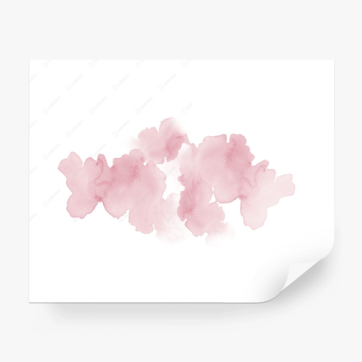 Fototapete sanfte rosa aquarellblüte – Wallnifity®