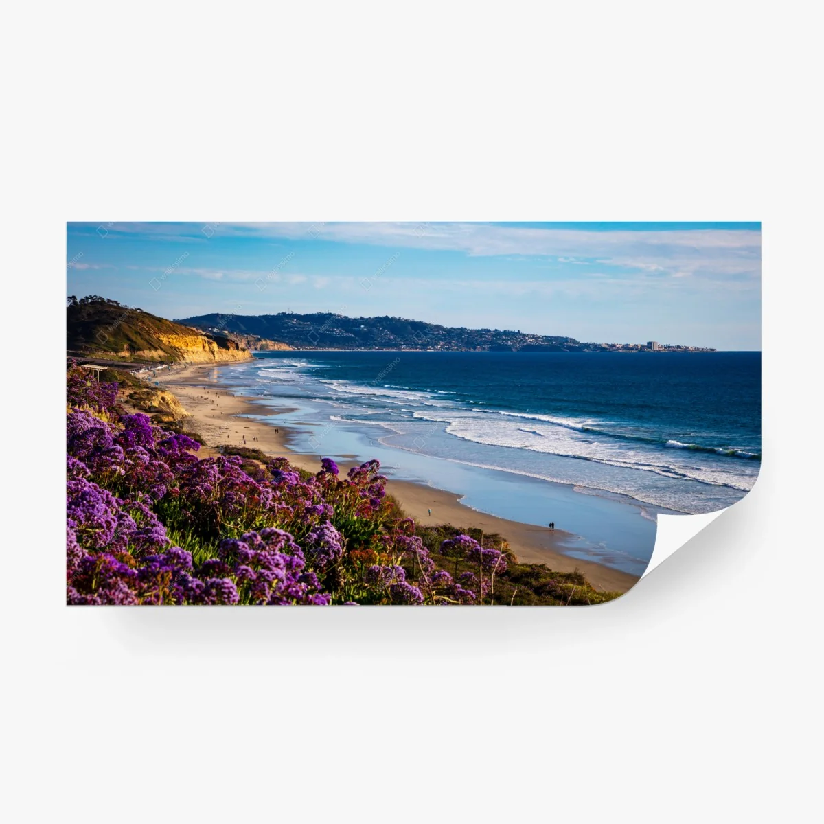 Fototapete küstenklippen mit lila wildblumen – Wallnifity®