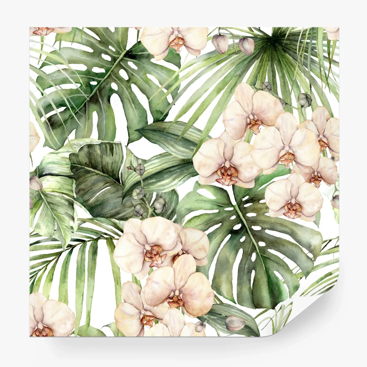 Fototapete zarte aquarell orchideen und tropische blätter – Wallnifity®